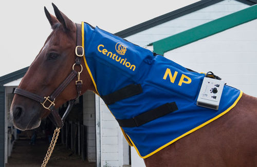 Unidad de magnetoterapia para équidos - Neck Piece - Centurion Systems - ponible
