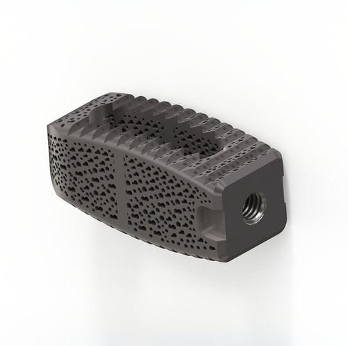 Caja intersomática lumbar - TERRACOTTA PLIF - Osimplant - vía posterior / de titanio