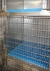 Jaula veterinaria modular - 1018/Rev2 - RICA Surgical - de policarbonato