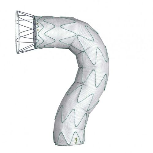 Stent-injerto de aorta torácica - DOMINUS® - Braile Biomedica - de poliéster