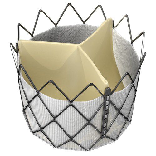 Bioprótesis valvular aórtica - INOVARE® - Braile Biomedica - de tejido bovino / sin suturas