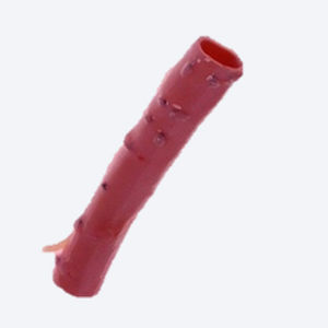 Bioprótesis vascular arteria pulmonar - CryoGraft®  - Cryolife - alotrasplante / con válvula