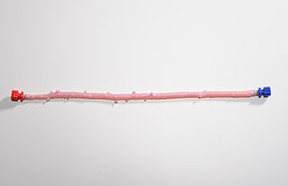 Bioprótesis vascular de arteria femoral - CryoArtery® - Cryolife - alotrasplante