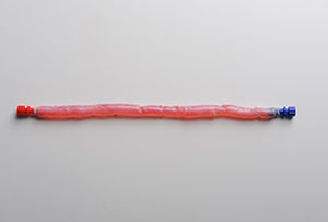 Bioprótesis vascular vena femoral - CryoVein®  - Cryolife - alotrasplante