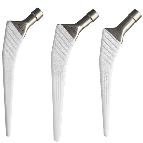 Vástago femoral no cementado - FORTRESS ND® - Biotechni
