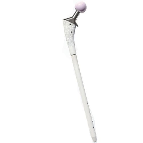 Vástago femoral de revisión - TTHR® - Biotechni - no cementado
