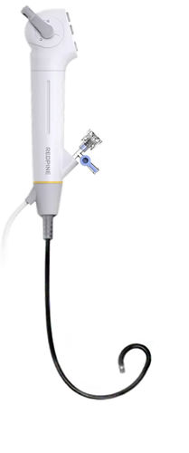Videocistoscopio de un solo uso - REDPINE&trade; - EUROMEDICAL - SDJ