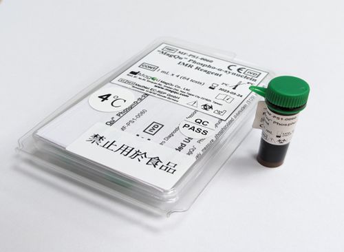 Reactivo de alfa-sinucleina - MF-PS1-0060 - MagQu Co., Ltd. - anticuerpos / para inmunoanálisis / de hierro