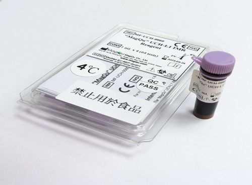 Reactivo enzima - MF-UCH-0060 - MagQu Co., Ltd. - para la investigación / de diagnóstico