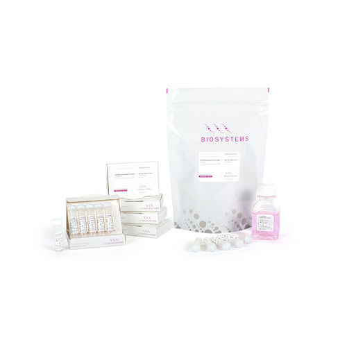 Kit de reactivos ADN polimerasas - qPCRBIO SyGreen Mix - PCR Biosystems Ltd. - colorante / de ácidos nucleicos / para PCR en tiempo real