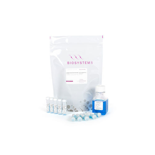 Kit de reactivos colorante - qPCRBIO SyGreen Blue Mix - PCR Biosystems Ltd. - de ácidos nucleicos / para qPCR / de arranque en caliente