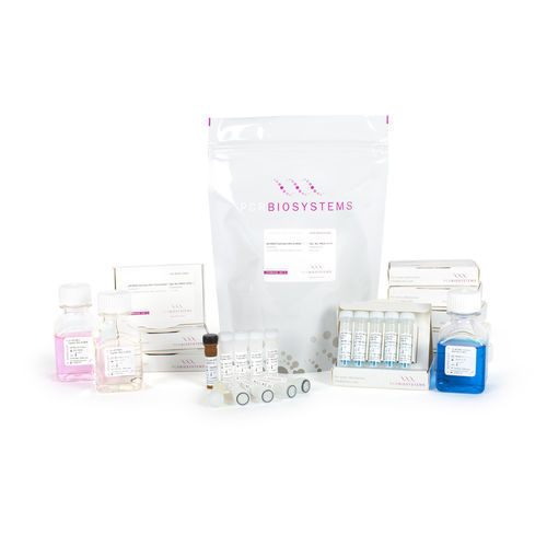 Kit de reactivos solución de dNTP - PB90. series - PCR Biosystems Ltd. - polimerasa Taq / inhibidor de RNasa / de diagnóstico