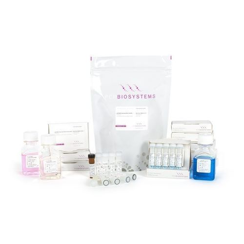 Kit de reactivos colorante - Clara™ Probe Purple Mix - PCR Biosystems Ltd. - para qPCR / de arranque en caliente