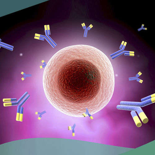 kit de prueba para enfermedades cardiovasculares - Shenzhen Yhlo Biotech Co., Ltd.