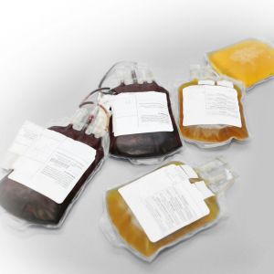 Reactivo anticuerpos - CS300 series - TCS Biosciences Ltd - de suero / para la investigación / para cultivo de tejidos