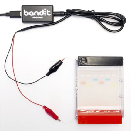 Sistema de electroforesis para ADN - Bandit™ - Amplyus - portátil