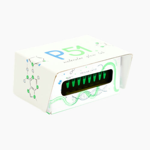 Sistema de documentación en gel por fluorescencia - P51™ - Amplyus - para ADN / para proteínas / para ARN