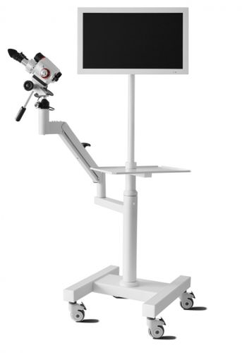 Colposcopio binocular - ALSCOPE - Biomedicinos Technika - vídeo / en carro
