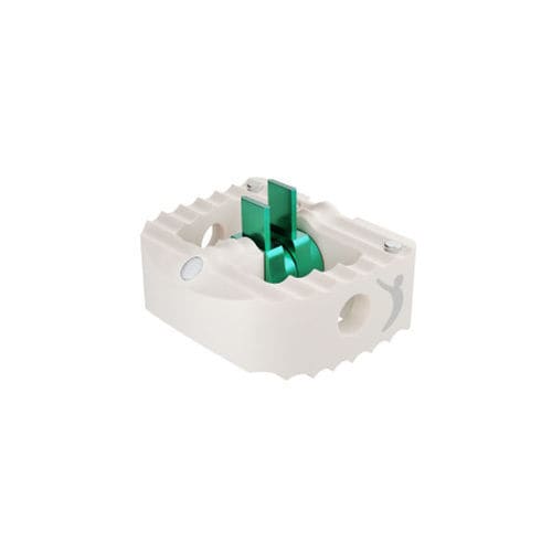 Caja intersomática cervical - PROYSTER-D™ - Prodorth Spine - vía anterior / de PEEK