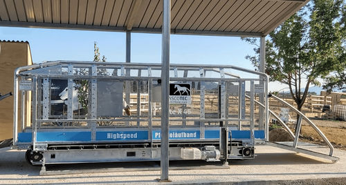 Cinta de correr veterinaria para caballos - ELITE - Sascotec