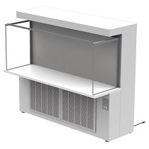 Cabina de limpieza de laboratorio - CAP301 - Clean Air Products - para la industria farmacéutica / de pie / HEPA