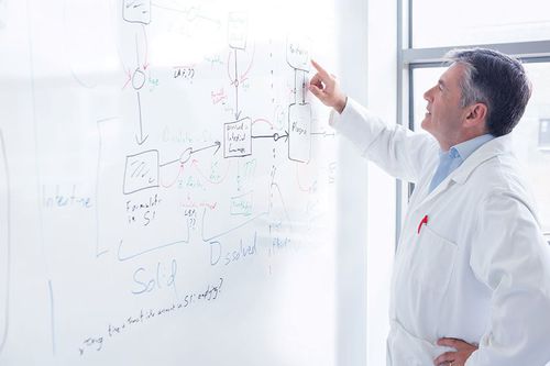 Estructura de muros para centro sanitario - Whiterock™ Whiteboard - ALTRO LTD - para quirófano