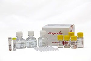 Kit de prueba para el cáncer - MagMeDIP - Diagenode - de genes / por plasma / de células