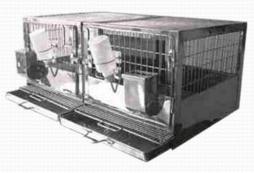 Jaula veterinaria para conejos - RBB-S-T-3 - Meditech Technologies India - 2 compartimentos