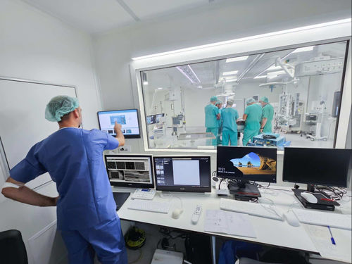 Sistema de gestión de vídeo - ORIS - Ditec Medical - de hospital / procesos basados en la web / servidor