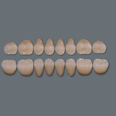 Prótesis dental de fibra acrílica - Three-layer - UAB BALTKOMEDA - de los dientes anteriores / para dientes posteriores