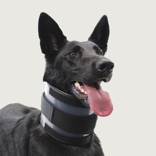 Collarín veterinario para perros - Bite Free™ - KVP EU Ltd - con cierre de Velcro® / reglable