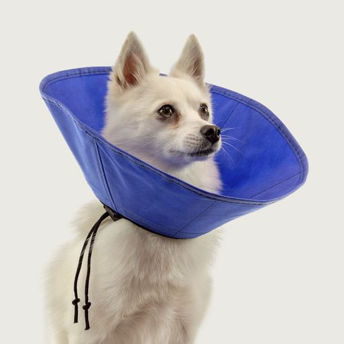 Collarín veterinario para cánidos - EZ Soft™ - KVP EU Ltd - reglable / lavable
