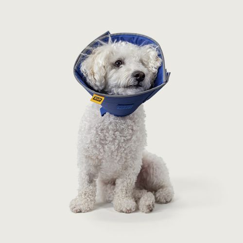 Collarín veterinario para perros - Calmer ™ - KVP EU Ltd - reglable / lavable / con cierre de Velcro®