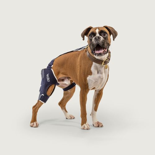 Soporte para piernas quirúrgico - Balto® Jump - KVP EU Ltd - veterinario / radiotransparente