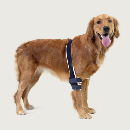 Arnés de rehabilitación - Balto® Soft - KVP EU Ltd - veterinario
