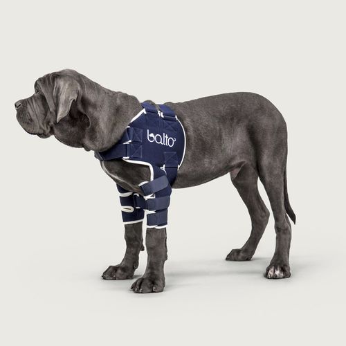 Arnés de rehabilitación - Balto® Lux - KVP EU Ltd - veterinario / para perros