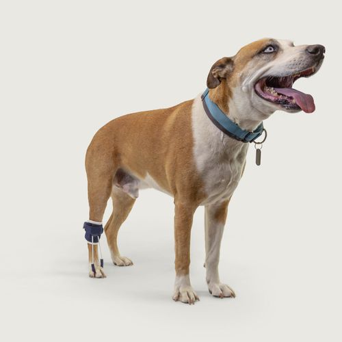 Férula veterinaria de patas - Balto® Pull - KVP EU Ltd