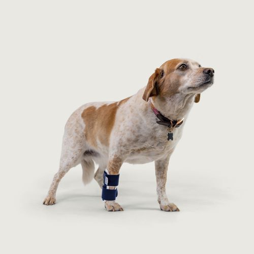 Férula veterinaria túnel carpiano - Balto® Joint  - KVP EU Ltd