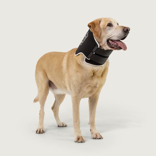 Collarín veterinario para perros - Balto® Neck Eco - KVP EU Ltd - con cierre de Velcro® / lavable