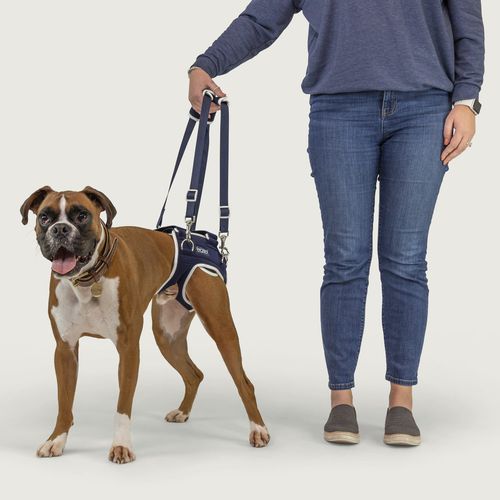 Arnés de marcha - Balto® Life - KVP EU Ltd - de rehabilitación / para perros