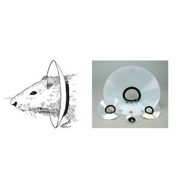 Collarín veterinario para roedores - EC201V-10, EC4 Series - Kent Scientific - lavable / reglable / para experimentación con animales