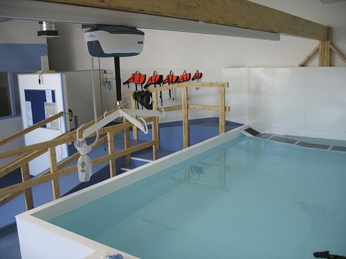 Piscina de rehabilitación sobre suelo - Bespoke - Dogpools - veterinaria
