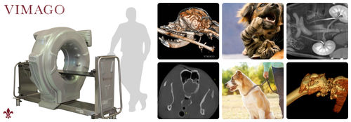 Tomografía computarizada veterinaria para animales grandes - Vimago™ - Epica Medical Innovations - para animales pequeños