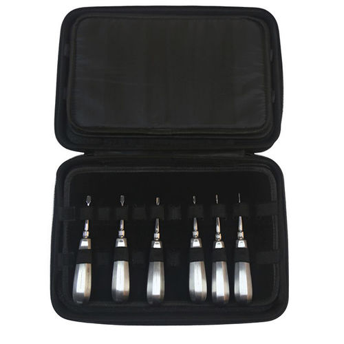 Kit de instrumental veterinario para cirugía dental - DS1005-06 - RWD Life Science - para perros