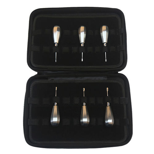 Kit de instrumental veterinario para cirugía dental - DS1006-06 - RWD Life Science - para perros