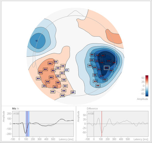 Software de análisis - Statistics 2.1 - BESA GmbH - de prueba / de importación / para EEG