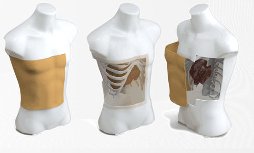 Fantoma de prueba para radiocirugía - Quant® - CAScination - de torso