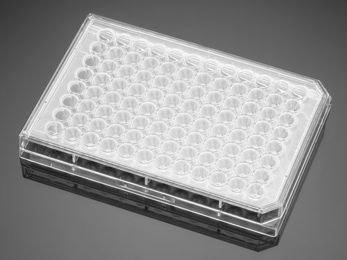 Microplaca para las ciencias de la vida - 353227  - Corning BV - de cultivo tisular / de 96 orificios