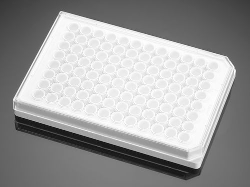 Microplaca para las ciencias de la vida - 353296  - Corning BV - de cultivo tisular / de 96 orificios