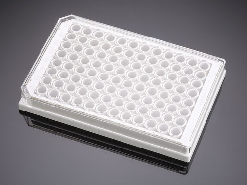 Microplaca para las ciencias de la vida - 353377  - Corning BV - de cultivo tisular / de 96 orificios